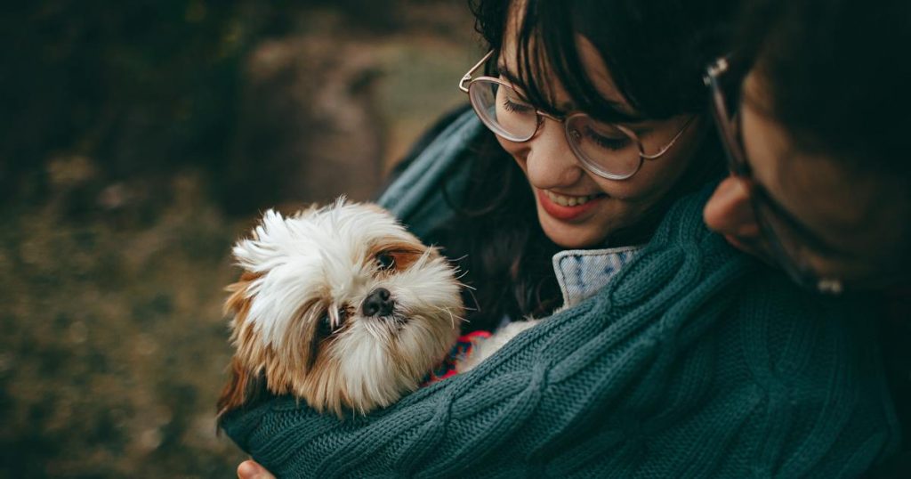 Ethical puppy adoption